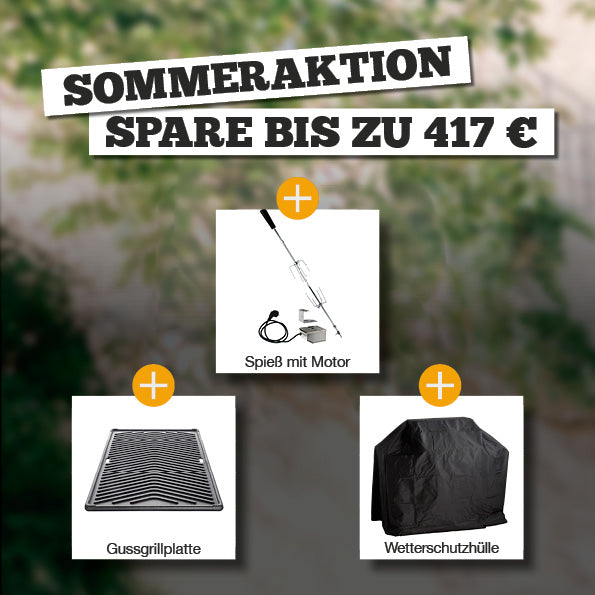 Sommeraktion - Allgrill
